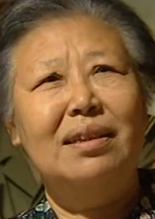 王淑琴 Shuqin Wang