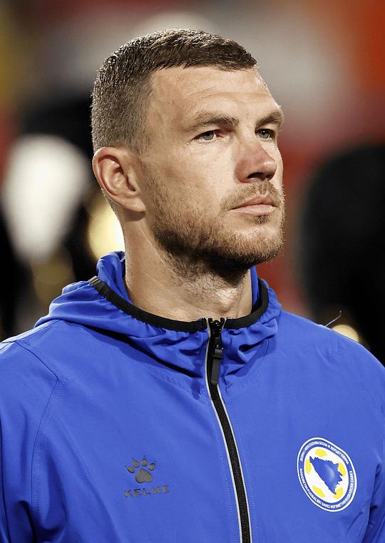 埃丁·哲科 Edin Džeko