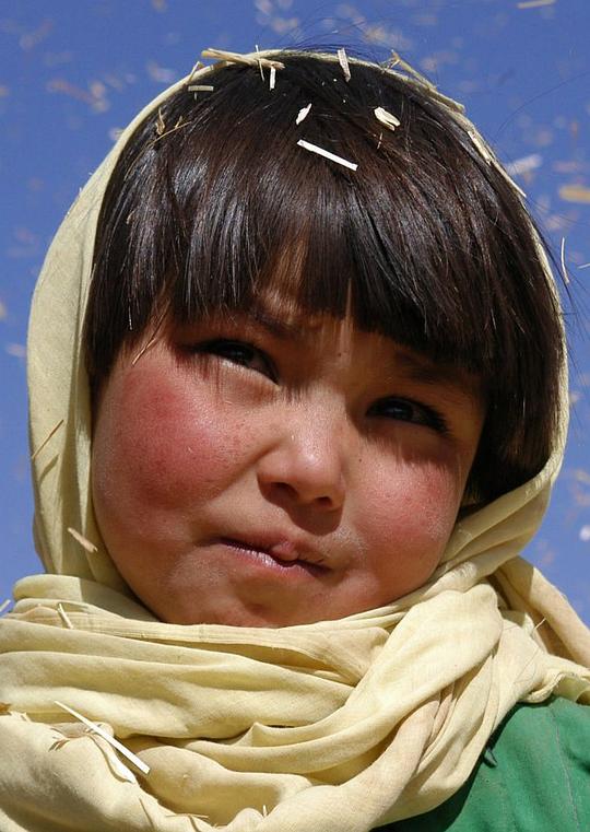 尼克巴赫特·诺鲁兹 Nikbakht Noruz