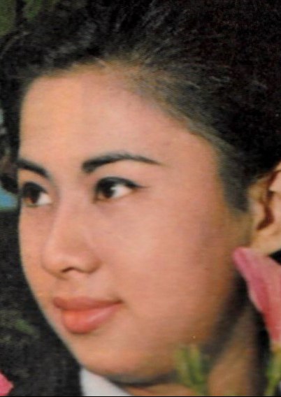 洪红 Hung Hung
