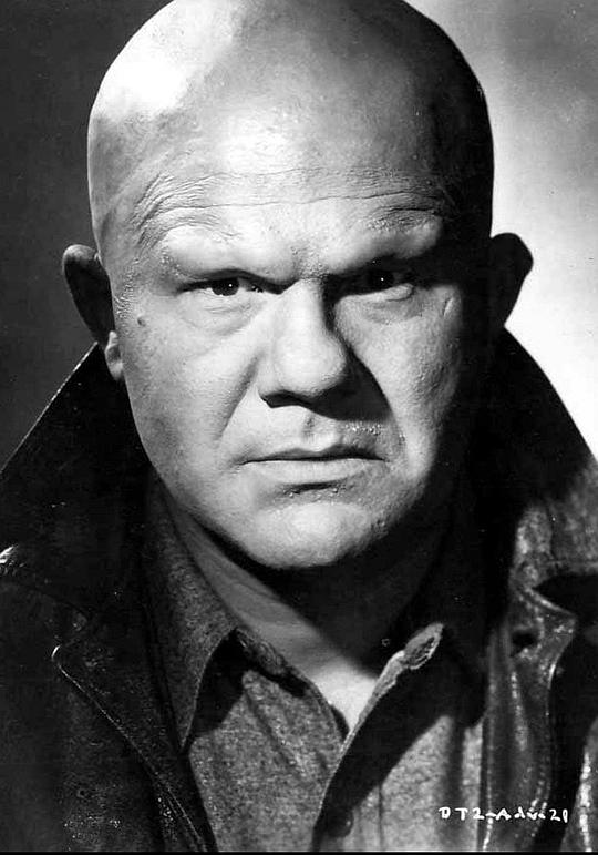 迪克·韦塞尔 Dick Wessel