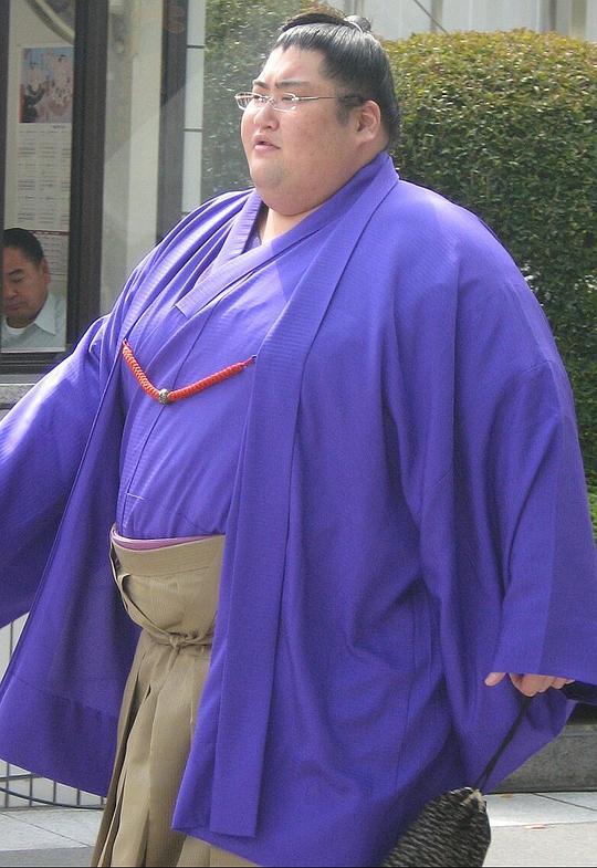 山本山龙太 Yama