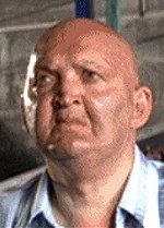 S·牛顿·安德森 S. Newton Anderson