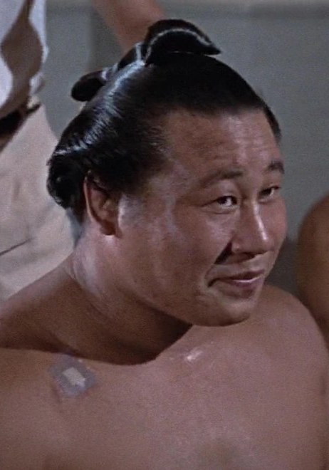 佐田之山晋松 Sadanoyama