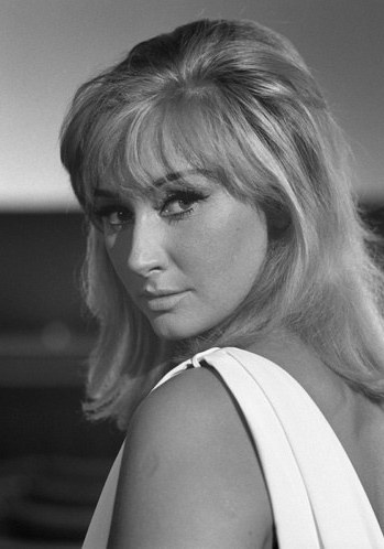 安妮·戈拉西尼 Annie Gorassini