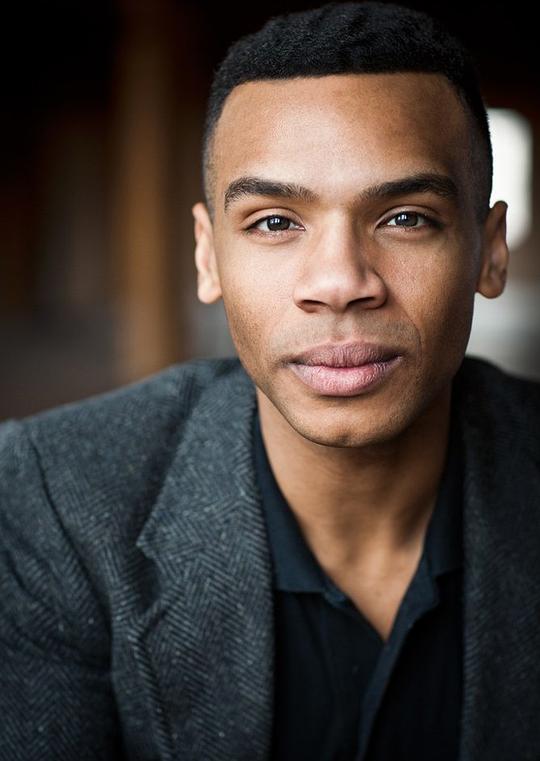 阿尔曼德·菲尔兹 Armand Fields