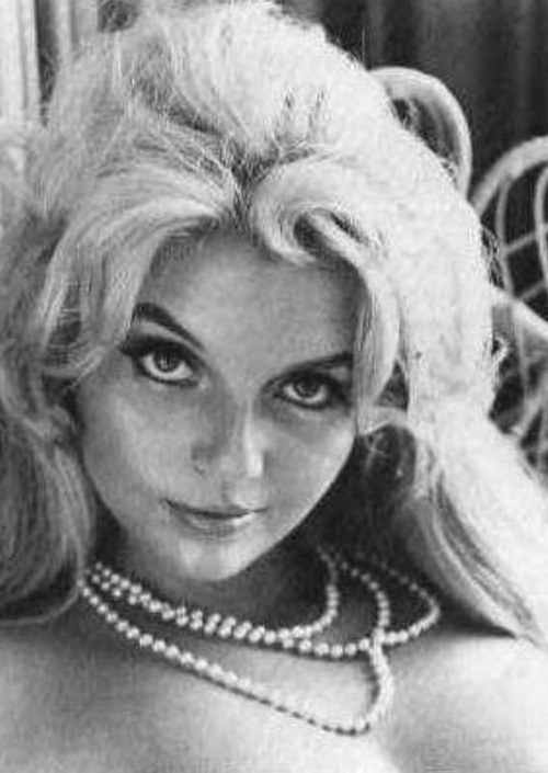 阿比盖尔 Abigail