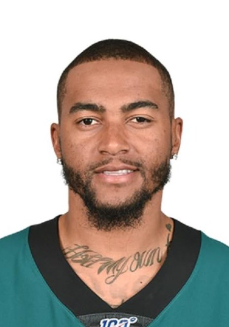 德肖恩·杰克逊 DeSean Jackson