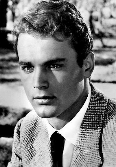 特伦斯·希尔 Terence Hill