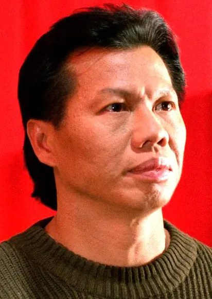 杨斯 Bolo Yeung
