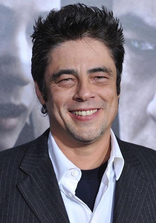 本尼西奥·德尔·托罗 Benicio del Toro
