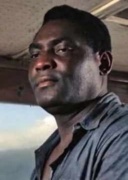 罗伊·斯图尔特 Roy Stewart