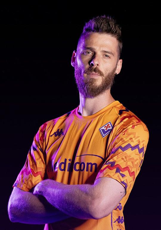 大卫·德赫亚 David de Gea