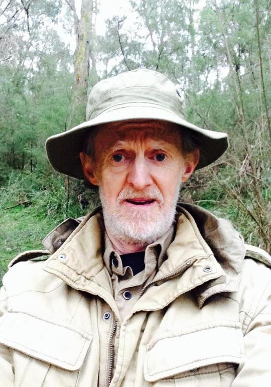 唐·布里奇斯 Don Bridges