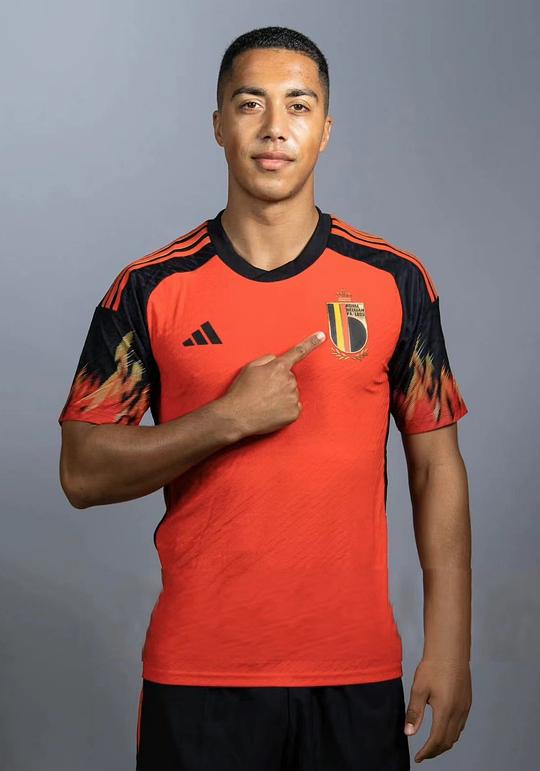 尤里·蒂勒曼斯 Youri Tielemans
