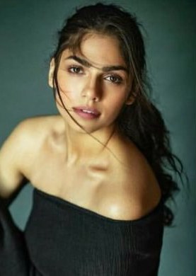 沙敏·西格尔 Sharmin Segal