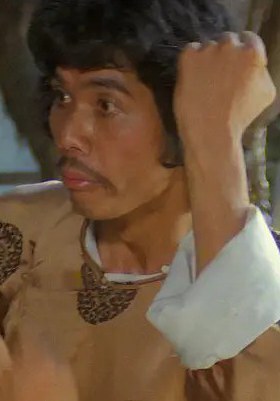朱少华 Shao Hua Chu