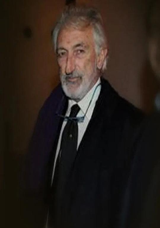 弗拉维奥·莫盖里尼 Flavio Mogherini