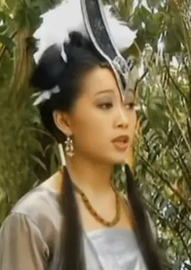 朱丹 Dan Zhu