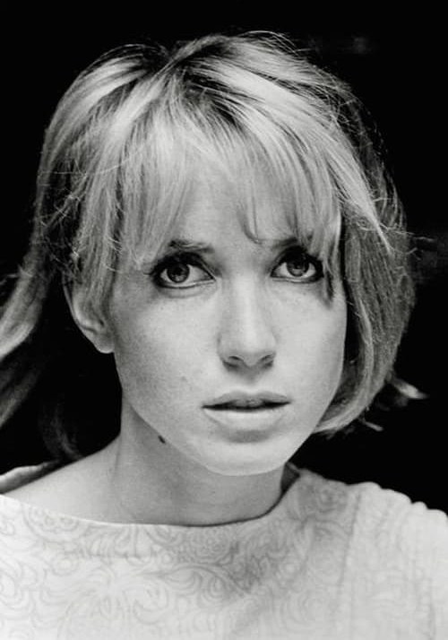 布鲁·欧吉尔 Bulle Ogier