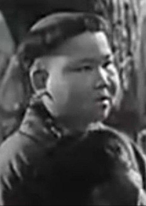 闻林泉 Linquan Wen