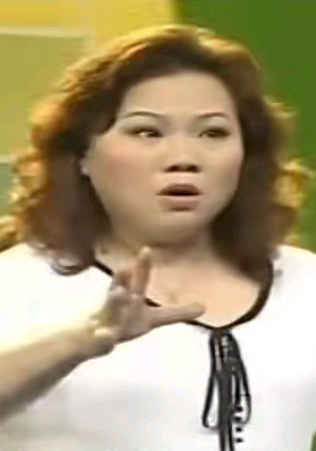 曾赛英 Saiying Zeng
