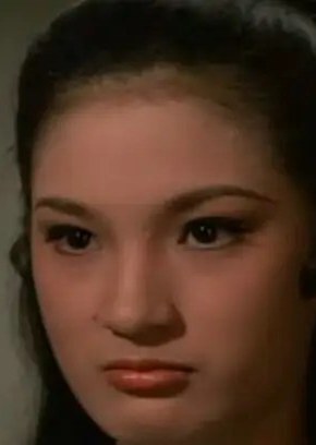 秦惠玲 Hui-Ling Chin