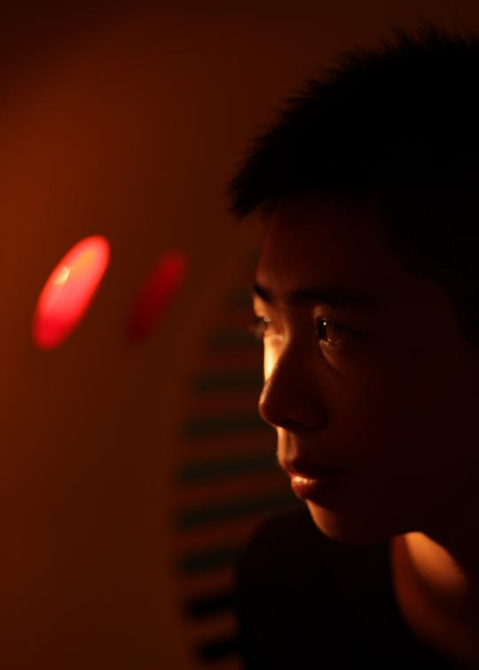 温柏高 Baigao Wen