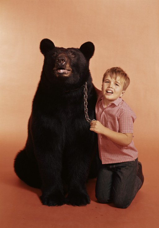 布鲁诺 Bruno The Bear