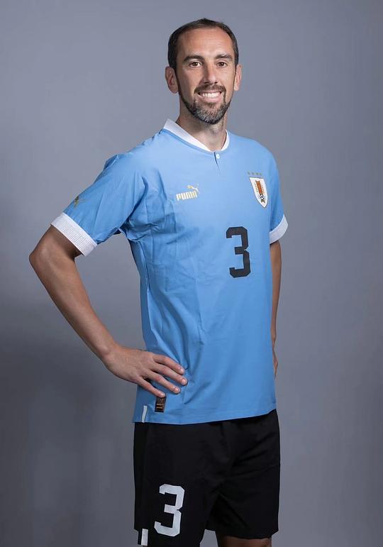 迭戈·戈丁 Diego Godín