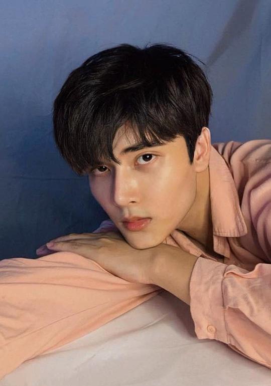 杨辉 Dương Huy