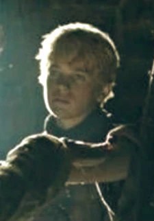 蒂莫西·吉本斯 Timothy Gibbons