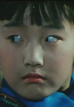 陆茜 Qian Lu