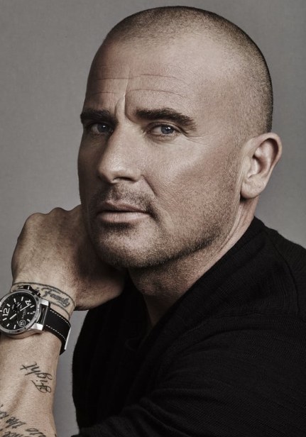 多米尼克·珀塞尔 Dominic Purcell