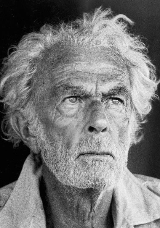 弗里德里希·冯·莱德布 Friedrich von Ledebur