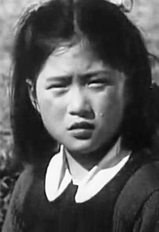 沈丽 Li Shen