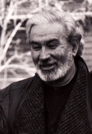 尼尔森·维拉格拉 Nelson Villagra