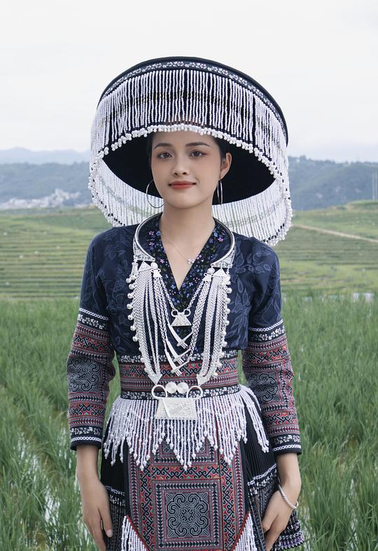 杨香 Xiang Yang