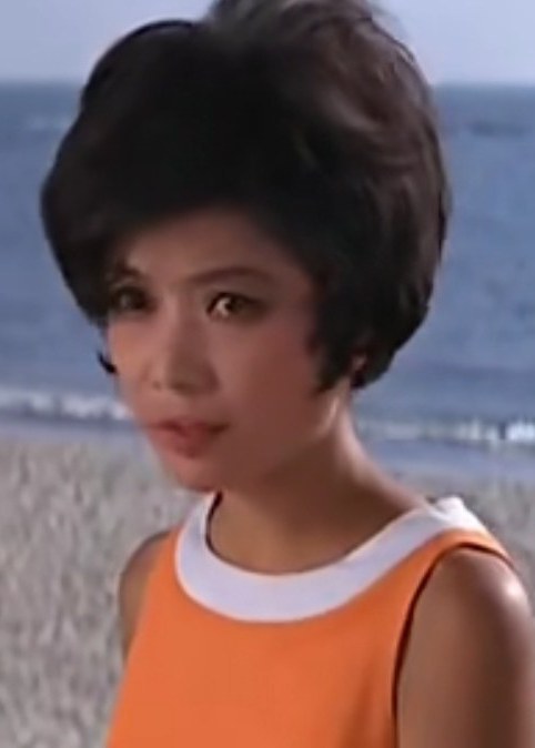 芷心 Hsin Chih