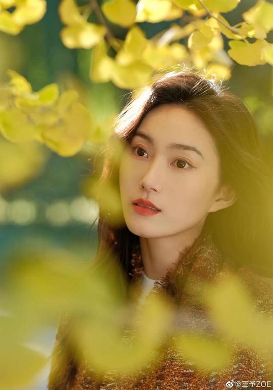 王予 Yu Wang