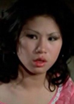 丹凤 Fung Tan