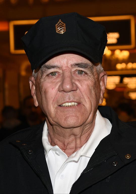 李·厄米 R. Lee Ermey