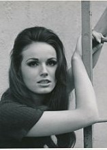 Willi Koopman Willi Koopman