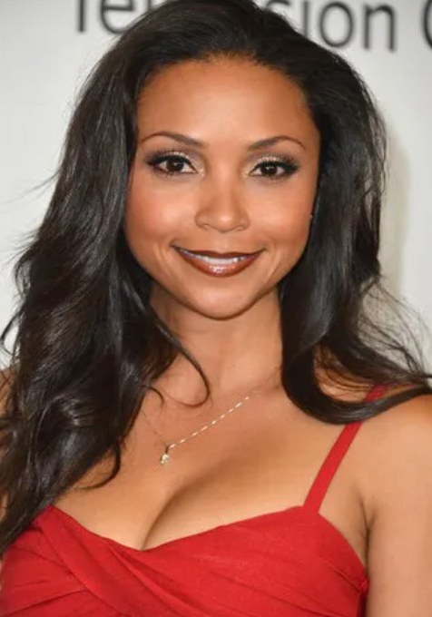 丹尼尔·尼科莱特 Danielle Nicolet