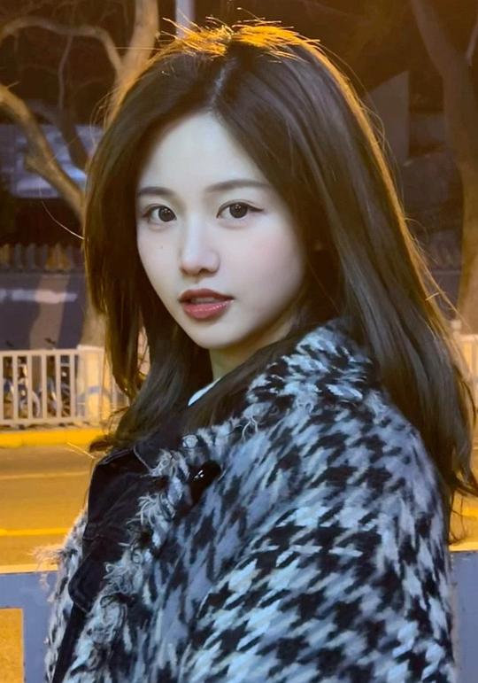 李佳佳 Li Jia Jia