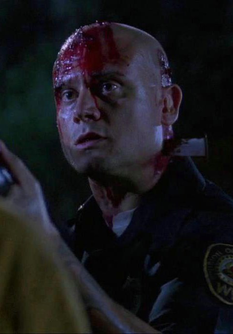 麦克·斯特劳布 Mike Straub