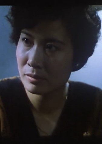 沙金燕