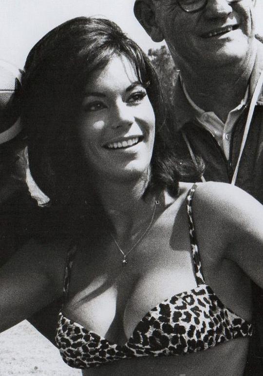 凯·珐琳敦 Kay Farrington