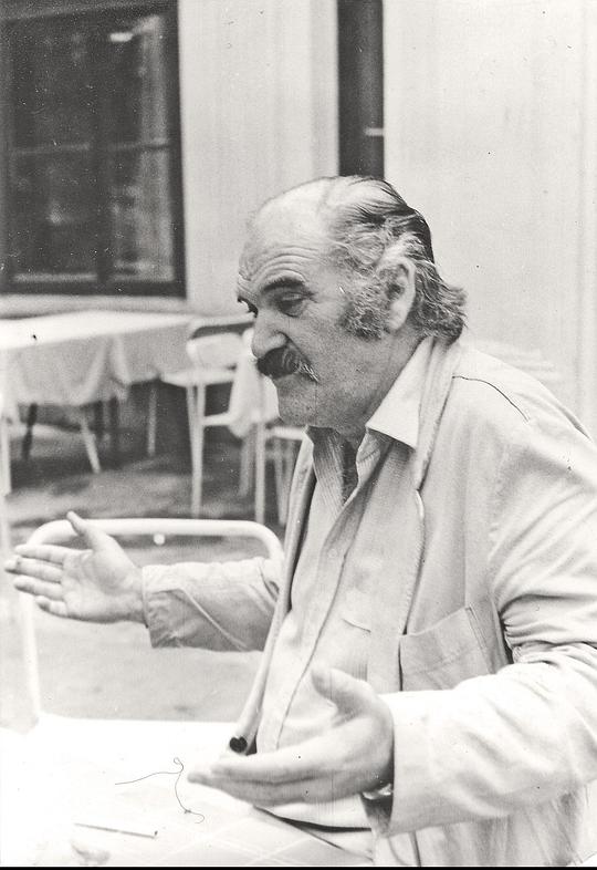 斯托莱·阿兰杰洛维奇 Stole Arandjelovic