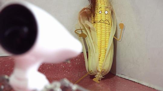 剧照